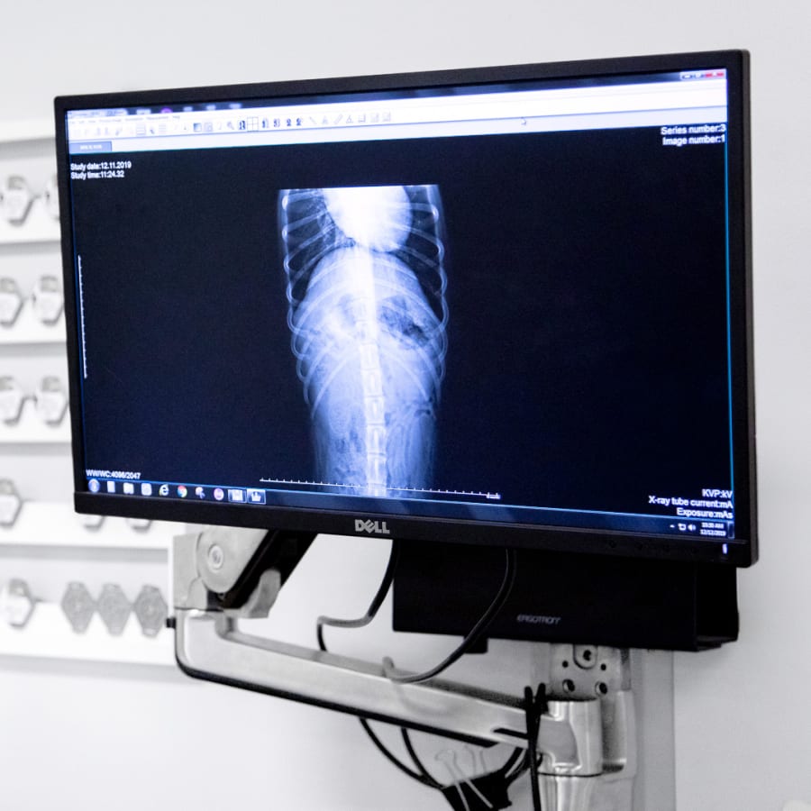 Veterinary Diagnostic Laboratory and X-Ray screen in Danbury