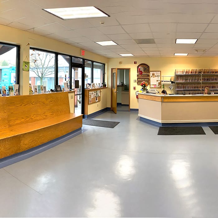 Mill Plain Veterinary Clinic in Danbury