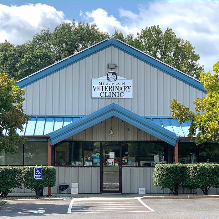 Mill Plain Veterinary Clinic in Danbury