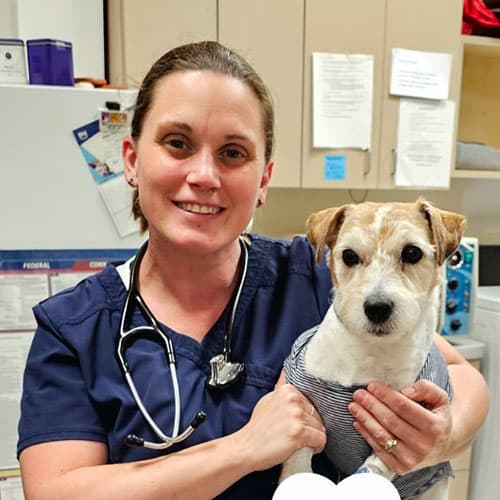 Daphne, Danbury Veterinary Technician